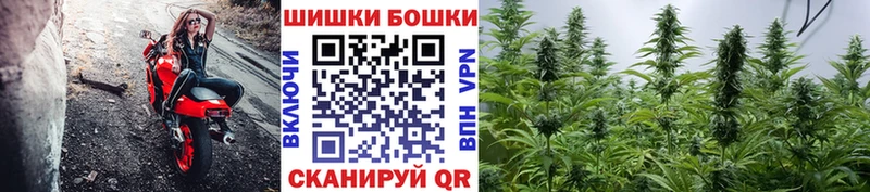 Конопля семена ОМГ ОМГ сайт Мосальск